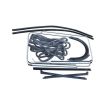 German quality door seal kit for both doors Beetle