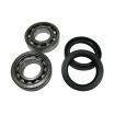 Rear bearing kit for rear suspension with IRS