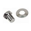 Chrome pulley bolt & washer