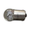 12 Volt number plate light bulb