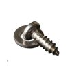Stainless steel track cover rear screw and washer