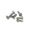 German quality stainless steel front grill screw set