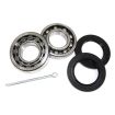 German quality rear wheel bearing kit early Bay