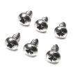 Stainless steel sunvisor screw set