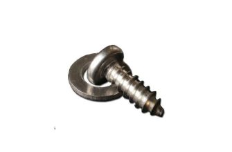 Stainless steel track cover rear screw and washer