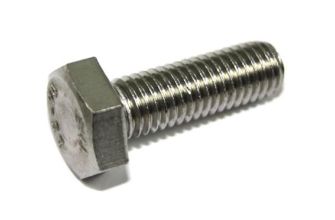 Stainless steel bolt for spring plate cover