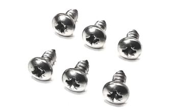 Stainless steel sunvisor screw set